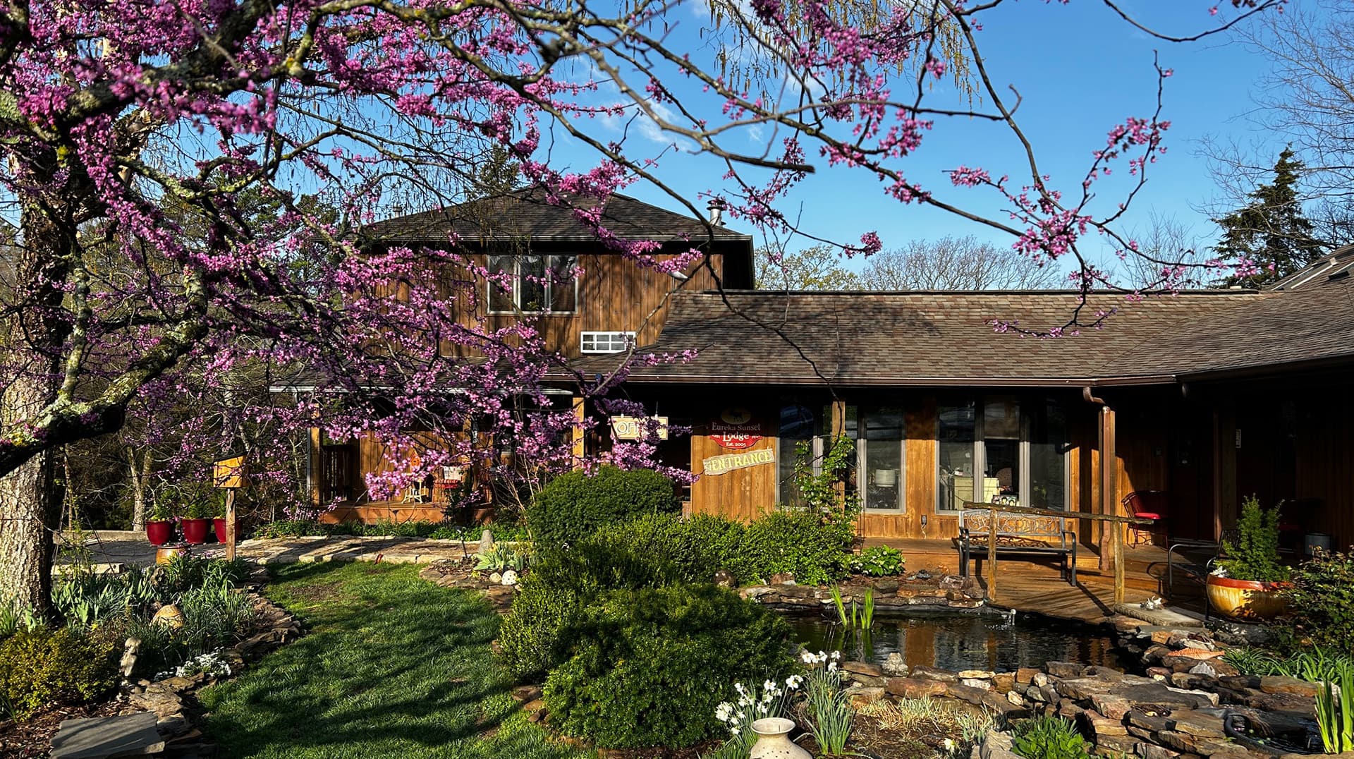 A wooden house surrounded by lush greenery and blooming pink trees.