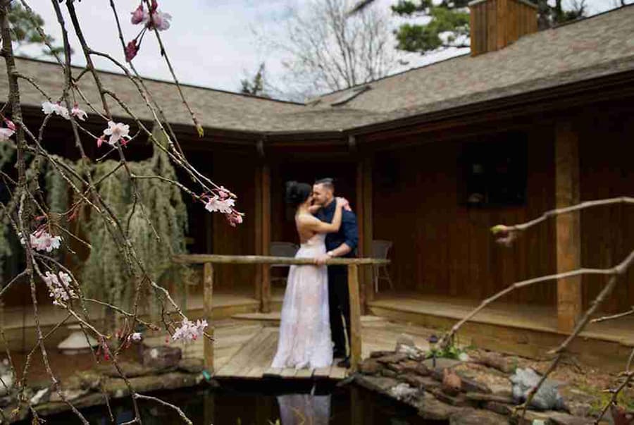 A couple in wedding attire embraces on a wooden bridge surrounded by blooming cherry blossoms.